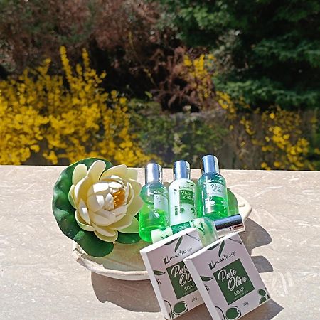 ホテル Baldeneige プラマンタ エクステリア 写真